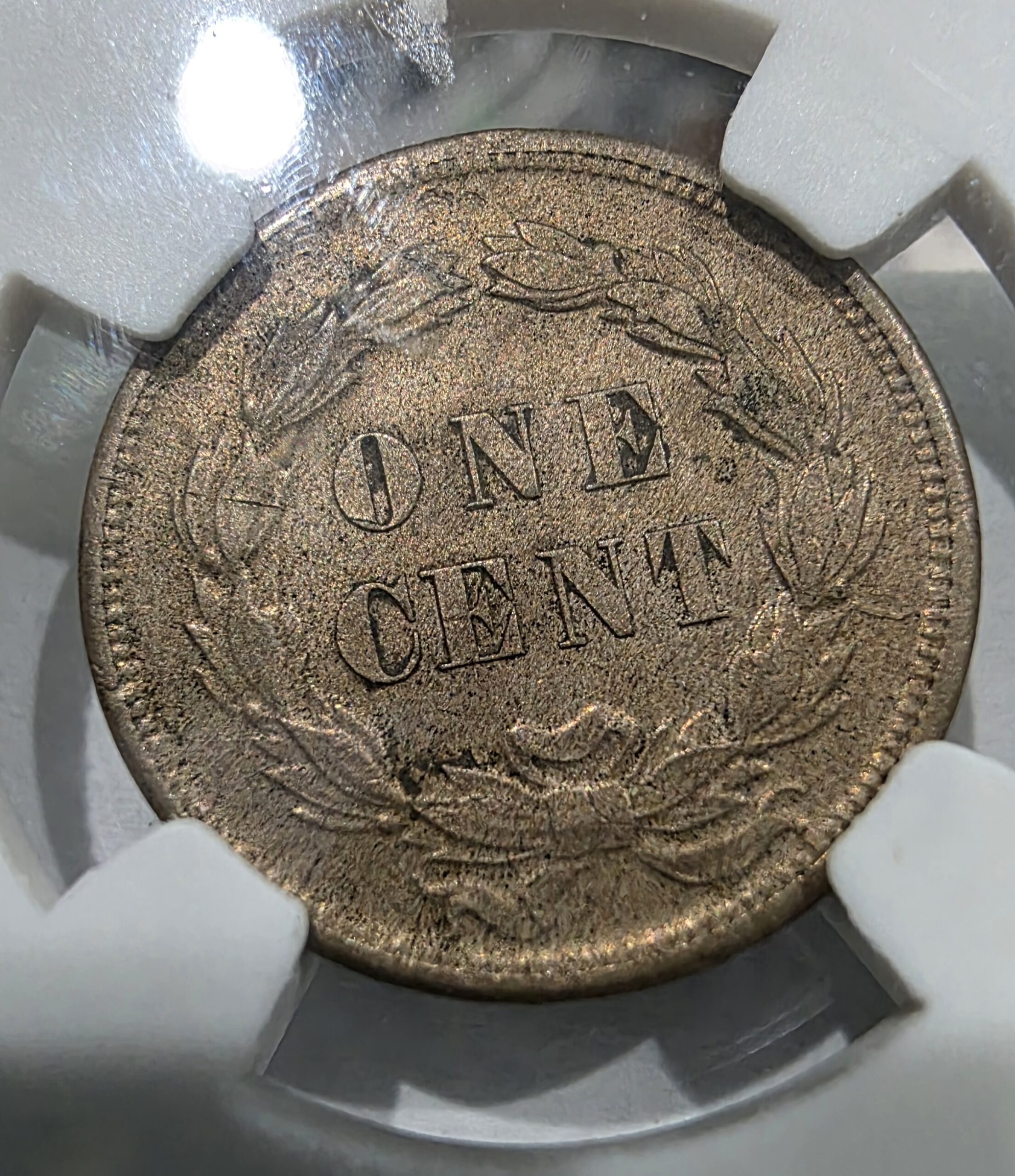 1859 Indian Head Cent – PGA AU58 - Image 4