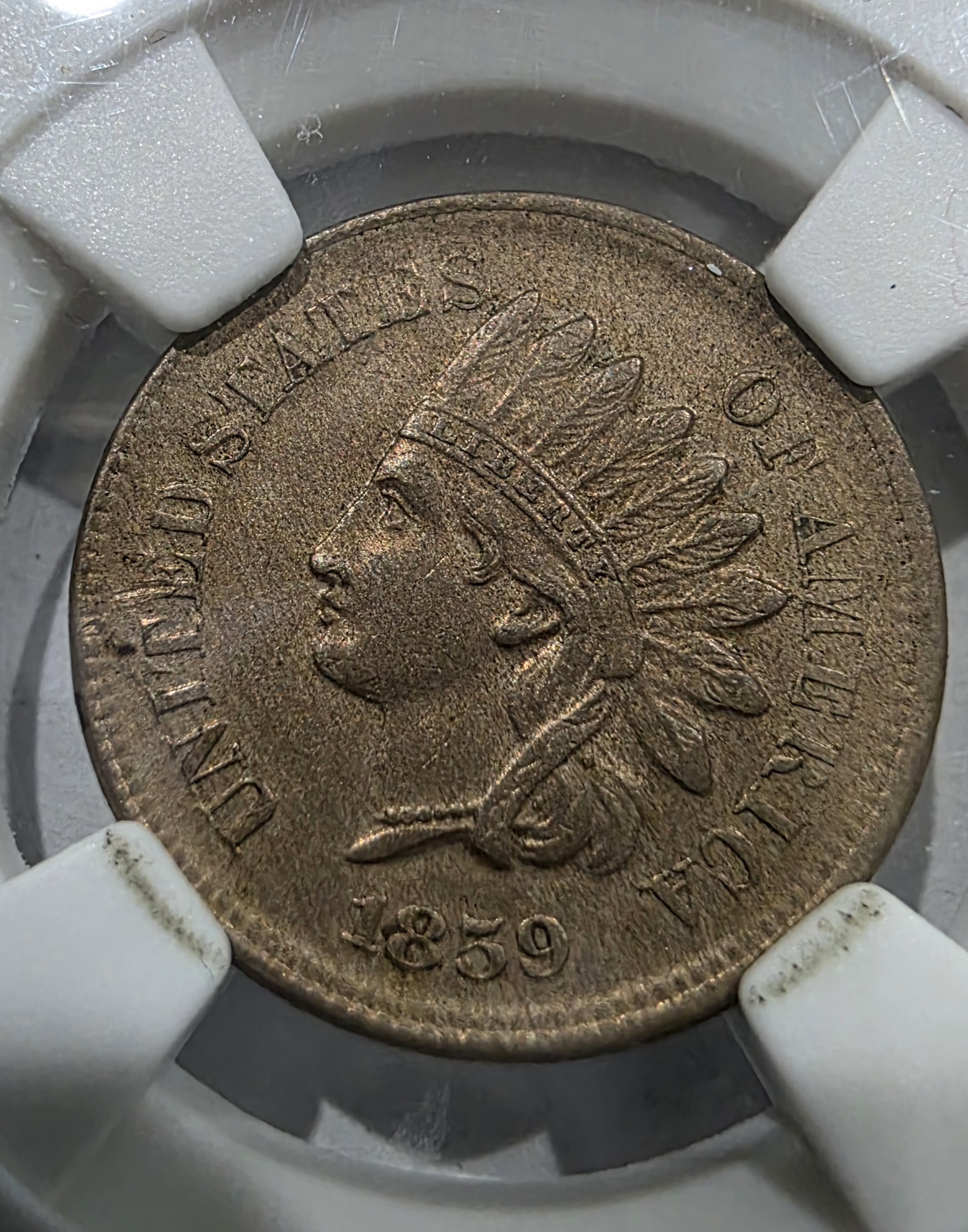 1859 Indian Head Cent – PGA AU58 - Image 2
